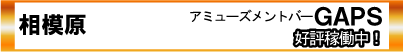 相模原・アミューズメントバーGAPS